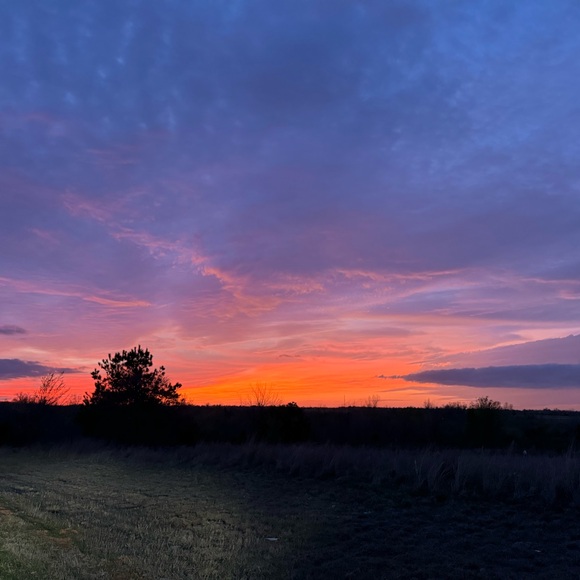 Meet your Posher, Nicole - Picture 1 of 1